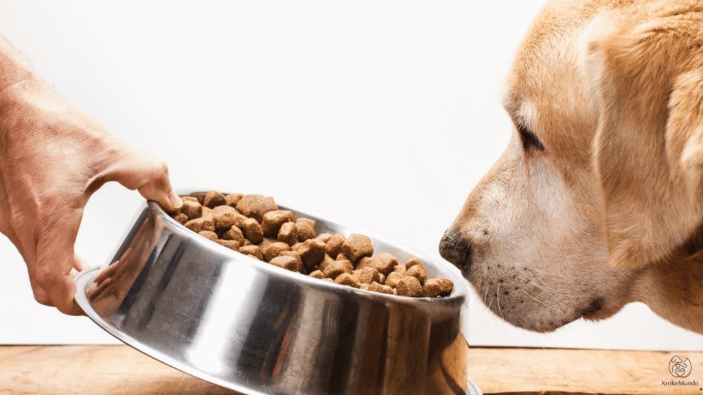 Nupec vs Royal Canin: Opinión Veterinaria y Precios